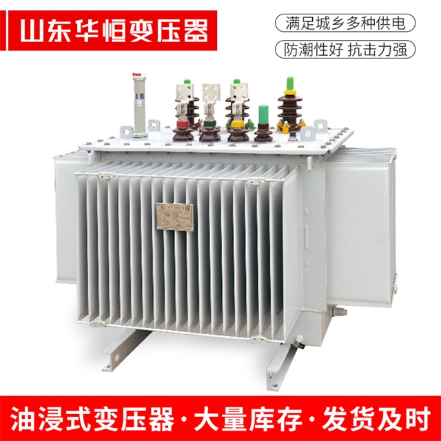 S13-10000/35长丰长丰长丰电力变压器